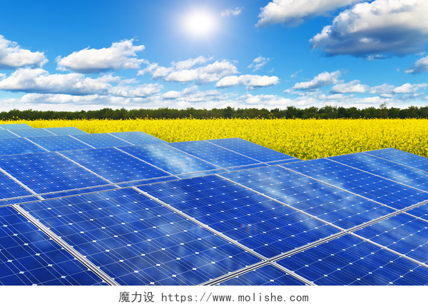 在明亮的天空下创意太阳能发电特写在油菜田的太阳能电池板